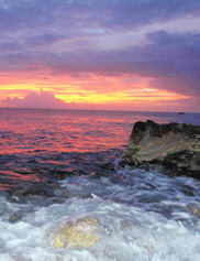 Bonaire - natuur