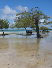 Bonaire - omgeving